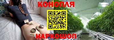 сатива Гусиноозёрск