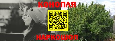 сатива Гусиноозёрск