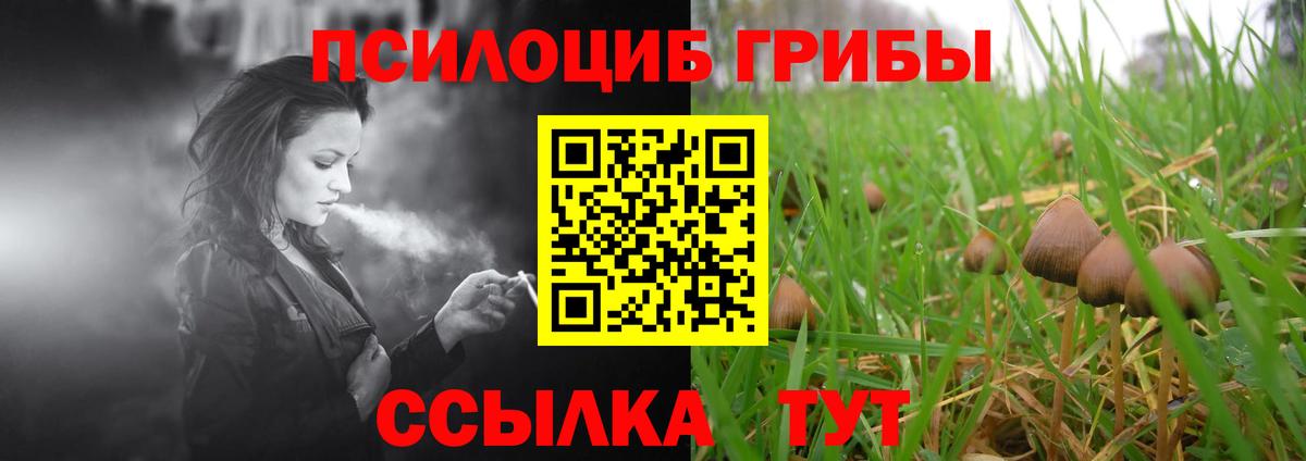 Галлюциногенные грибы мицелий  цена   Мытищи  Вход с VPN 